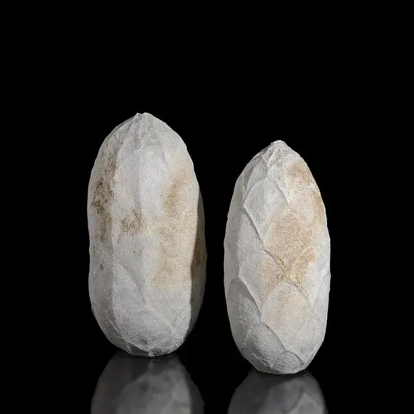 Cocoon vessel